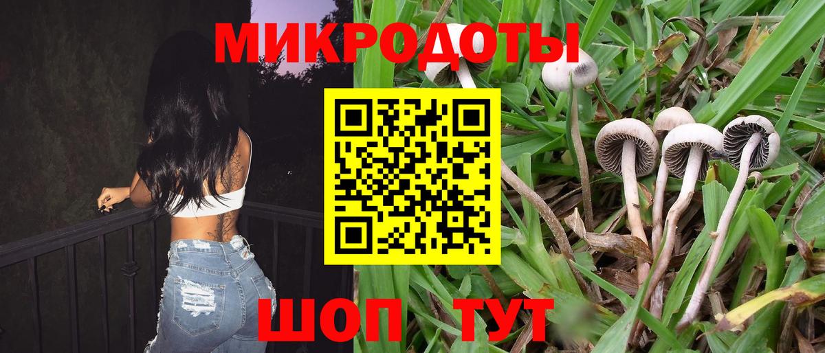 Псилоцибиновые грибы мицелий Будённовск