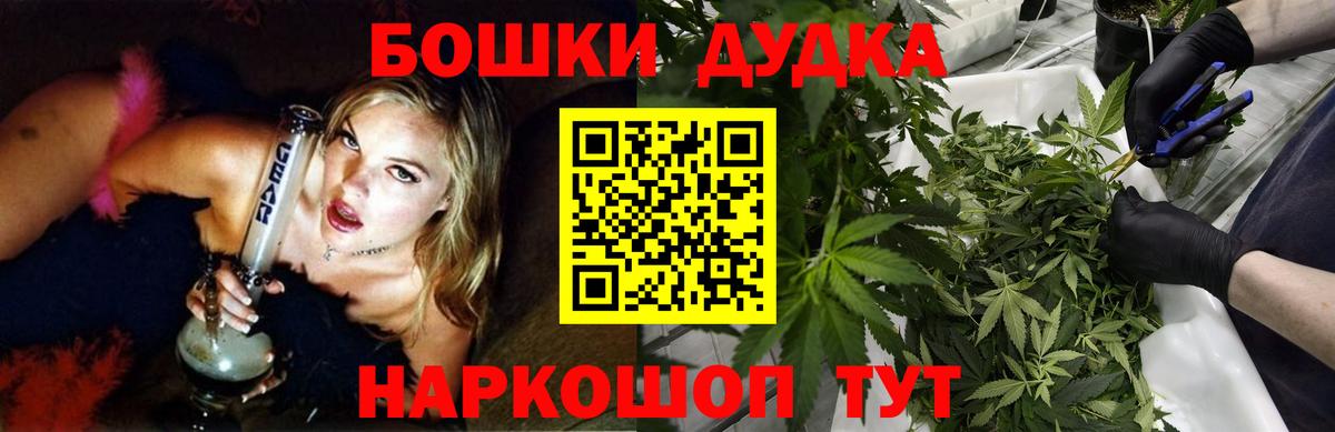 Бошки марихуана сатива Будённовск